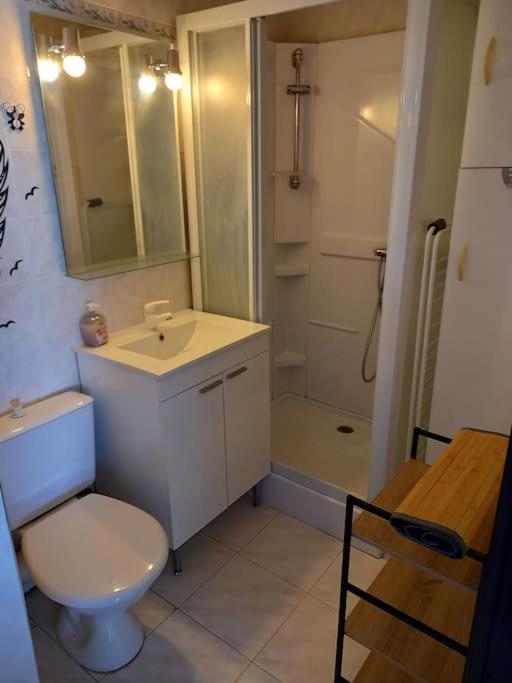 Appartement Raisin D'Or, T2, Parking, Piscine à Agde Extérieur photo